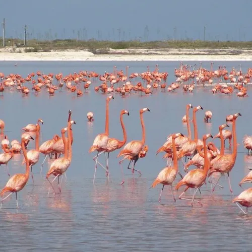 10 mejores actividades en Yucatán