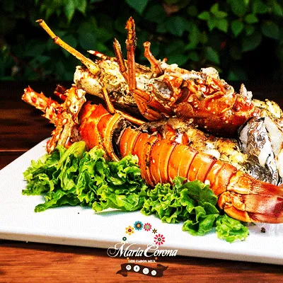 Restaurante María Corona Los Cabos5