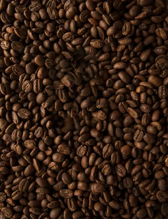 CAFES_2