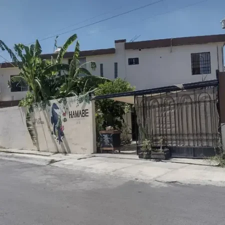 restaurante-hamabe-vegan-seafood-guadalupe-reserva-reservandonos-1