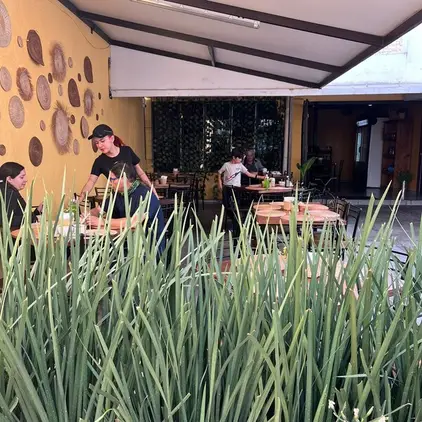 la-cocina-de-mama-susy-zapopan-reserva-reservandonos-3