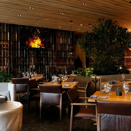 restaurante-sonora-prime-roma-condesa-resenas-reservas-menu-y-mas-2