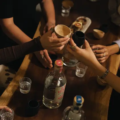 la-silvestre-mezcaleria-san-jose-del-cabo-con-reservandonos-8
