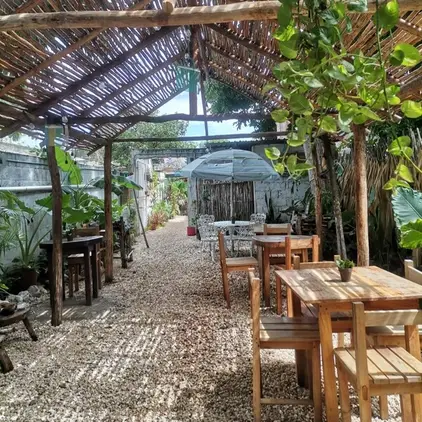 restaurante-pak-al-fresh-cuisine-valladolid-reserva-reservandonos-4