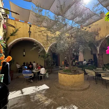 amapola-brunch-beer-garden-sma-con-reservandonos-1
