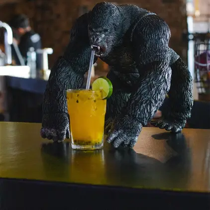 monkey-business-vallarta-con-reservandonos-2