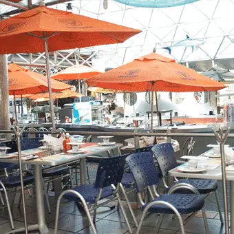 Restaurante-Fisher´s-Nápoles1 (1)