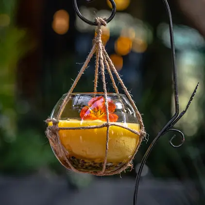 monkeyfruit
