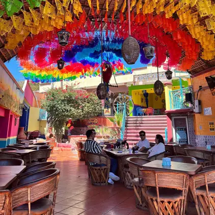las-guacamayas-cabo-san-lucas-con-reservandonos-5