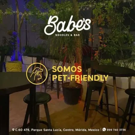 babes-noodles-bar-merida-reserva-reservandonos-3