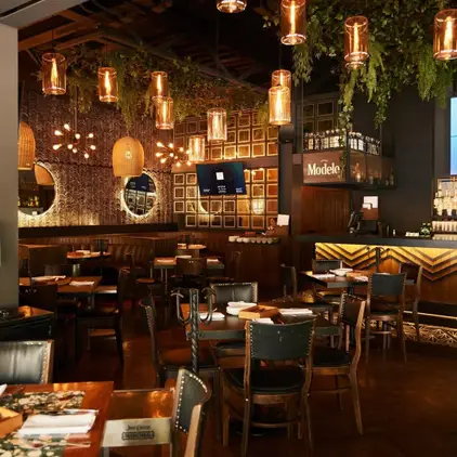 restaurante-ofelia-botanero-polanco-con-reservandonos
