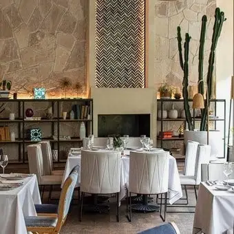 Los 8 mejores restaurantes para cenar en Lomas de Chapultepec