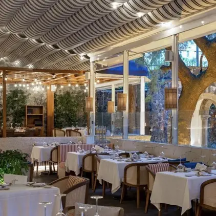 Los 8 mejores restaurantes para cenar en San Ángel