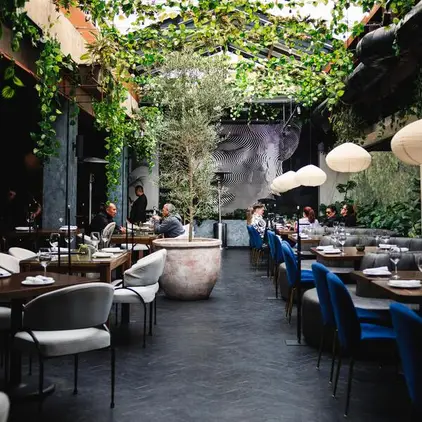 Los 10 mejores restaurantes para cenar en Polanco