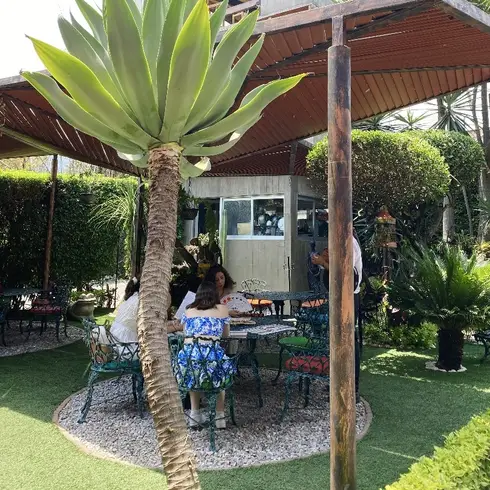 Los 5 mejores restaurantes para desayunar en Tepoztlán