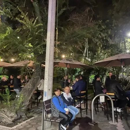 fauna-tasting-room-del-valle-cdmx-reserva-reservandonos-4