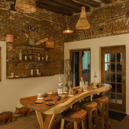la-silvestre-mezcaleria-san-jose-del-cabo-con-reserva (4)