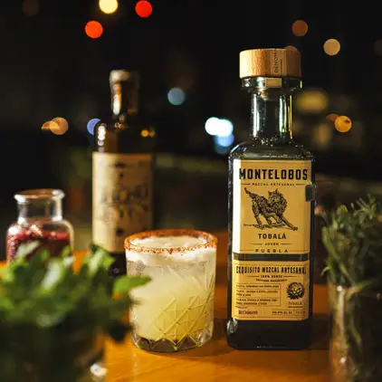 dalton-gin-bar-san-jose-del-cabo-con-reservandonos-5