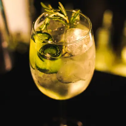 dalton-gin-bar-san-jose-del-cabo-con-reservandonos-13
