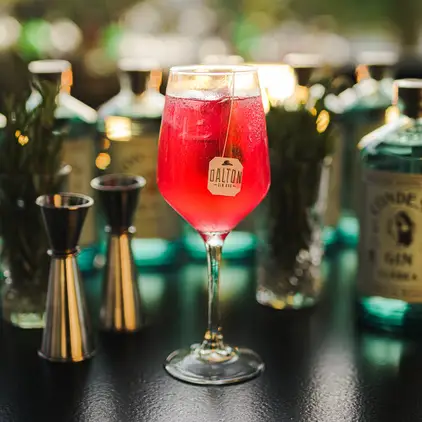 dalton-gin-bar-san-jose-del-cabo-con-reservandonos-14