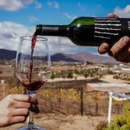 vinicola-sierravita-once-pueblos-con-reservandonos-6
