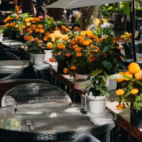 Los 6 mejores restaurantes mexicanos en Querétaro