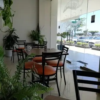 Los 7 mejores restaurantes para dar el grito en Manzanillo