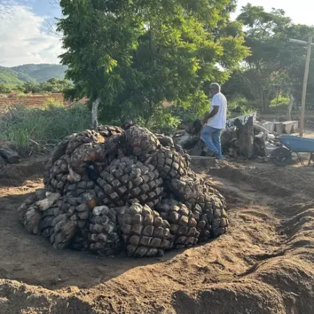 las-garrochas-hoguera-mezcalera-con (3)
