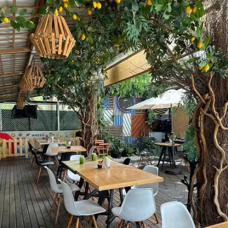 459214496_914765250671652_655912310103064675_n