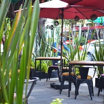 Best restaurants Insurgentes Sur