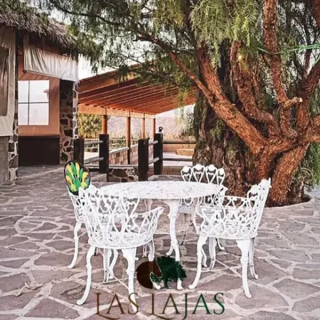 173984489_855081331709061_9129378075832930329_n