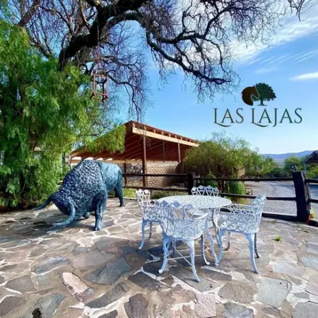 288325522_552251713019728_3301757616572776540_n