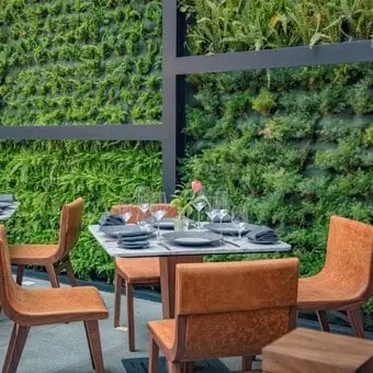 Restaurante-Alfredo-Di-Roma-Polanco-Reservandonos.com-6