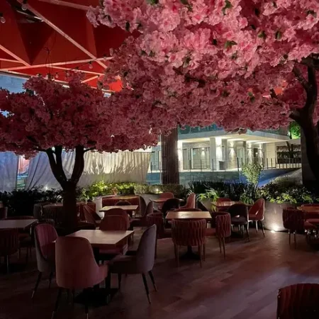 447961452_122106484886342753_2731448477332308013_n