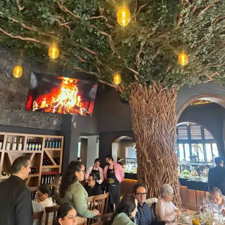 sal-e-brasa-coapa_imagen-1