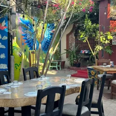 restaurante-il-forno-cabo-san-lucas-con-reservandonos-8