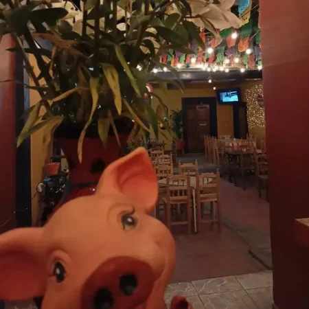 restaurante-tacos-y-mas-san-judas-reserva-reservandonos--(4)