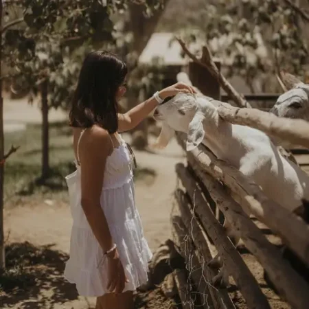 torote-restaurant-at-valle-del-sol-con-reservandonos-12