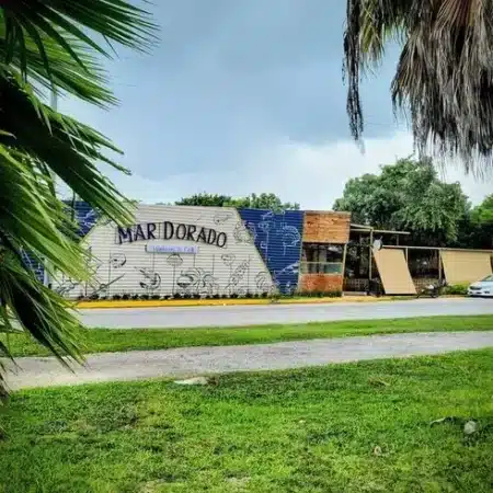 465778867_122126250608460916_7865553370349781193_n