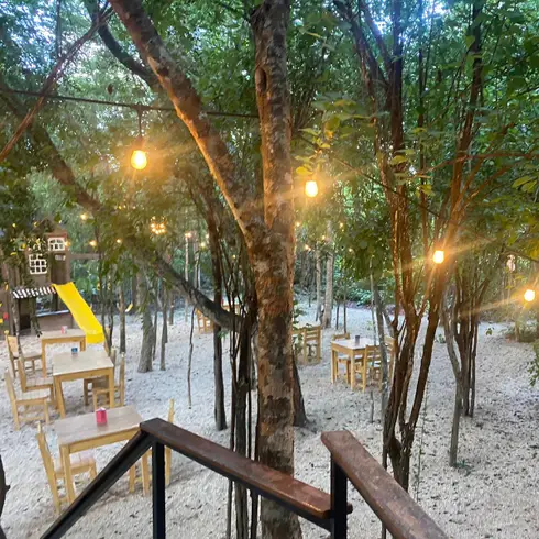 Los 5 mejores lugares en Playa Del Carmen