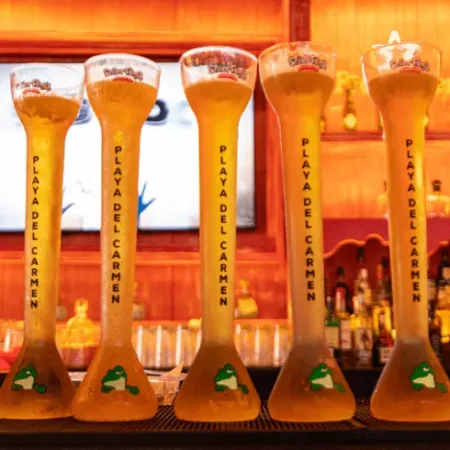 senor-frogs-quinta-avenida-con-reservandonos-1 (1)