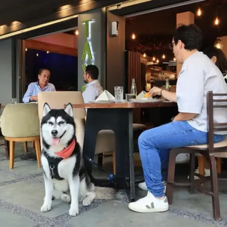 taypa-reserva-con-reservandonos-11