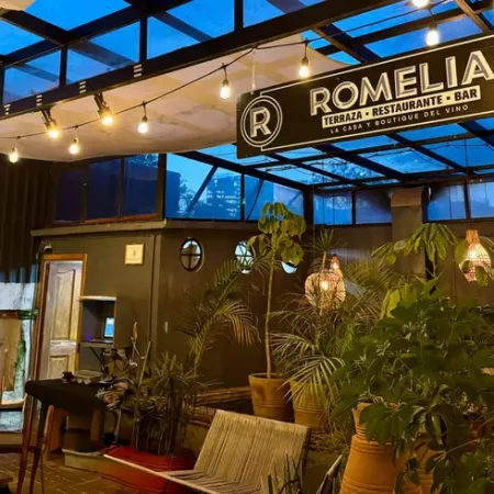 bar-romelia-cdmx-con-reservandonos-12