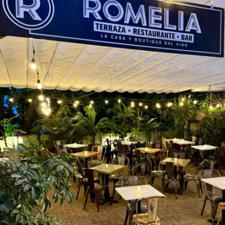 bar-romelia-cdmx-con-reservandonos-13