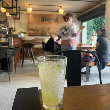 axolotita-agrofonda-monstruo-de-agua-condesa-con-reservandonos-1