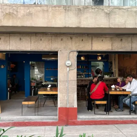 axolotita-agrofonda-monstruo-de-agua-condesa-con-reservandonos-2