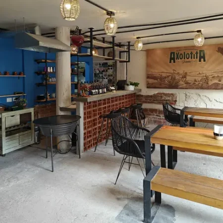 axolotita-agrofonda-monstruo-de-agua-condesa-con-reservandonos-5