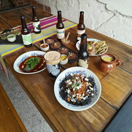 axolotita-agrofonda-monstruo-de-agua-condesa-con-reservandonos-7