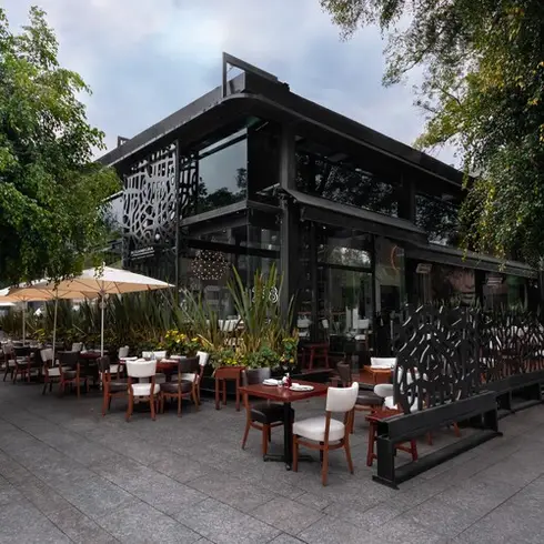 Top 5 terrazas Polanco