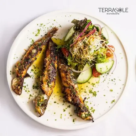 460398340_18200332873290271_517107017100408825_n